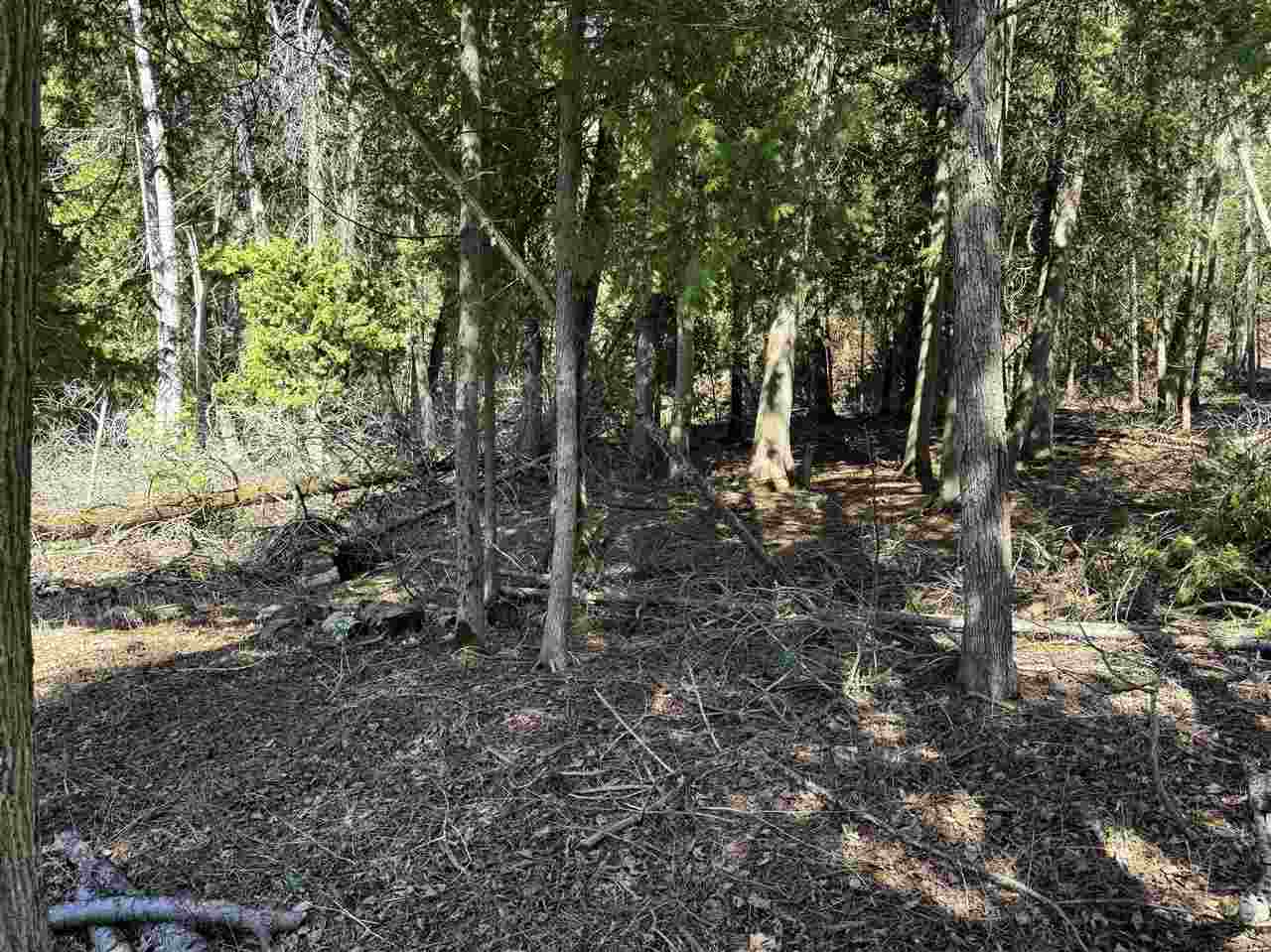 4254 Pine Cove Lane Mackinac Island MI 49757