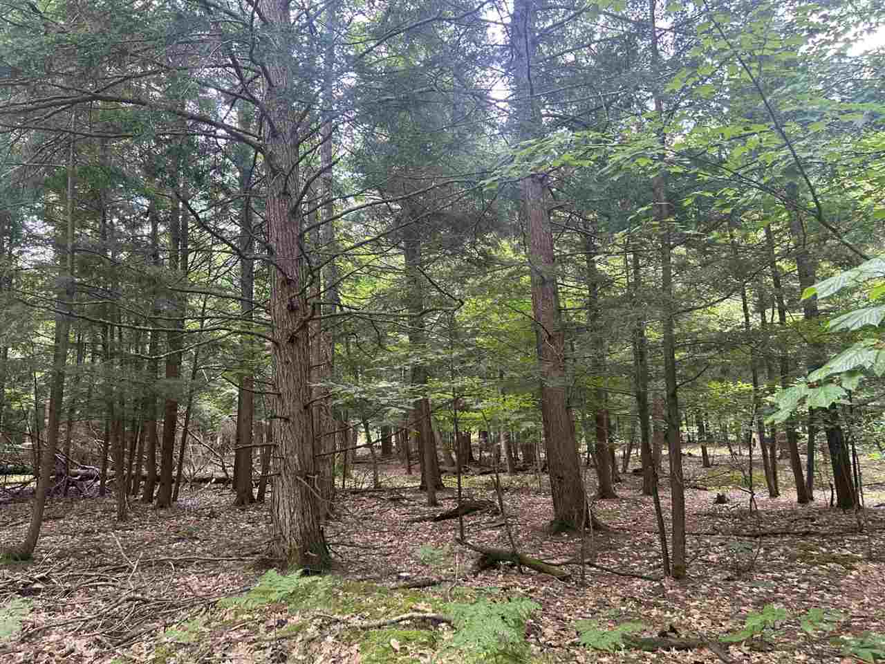 Tbd Arbutus Drive Cross Village MI 49723