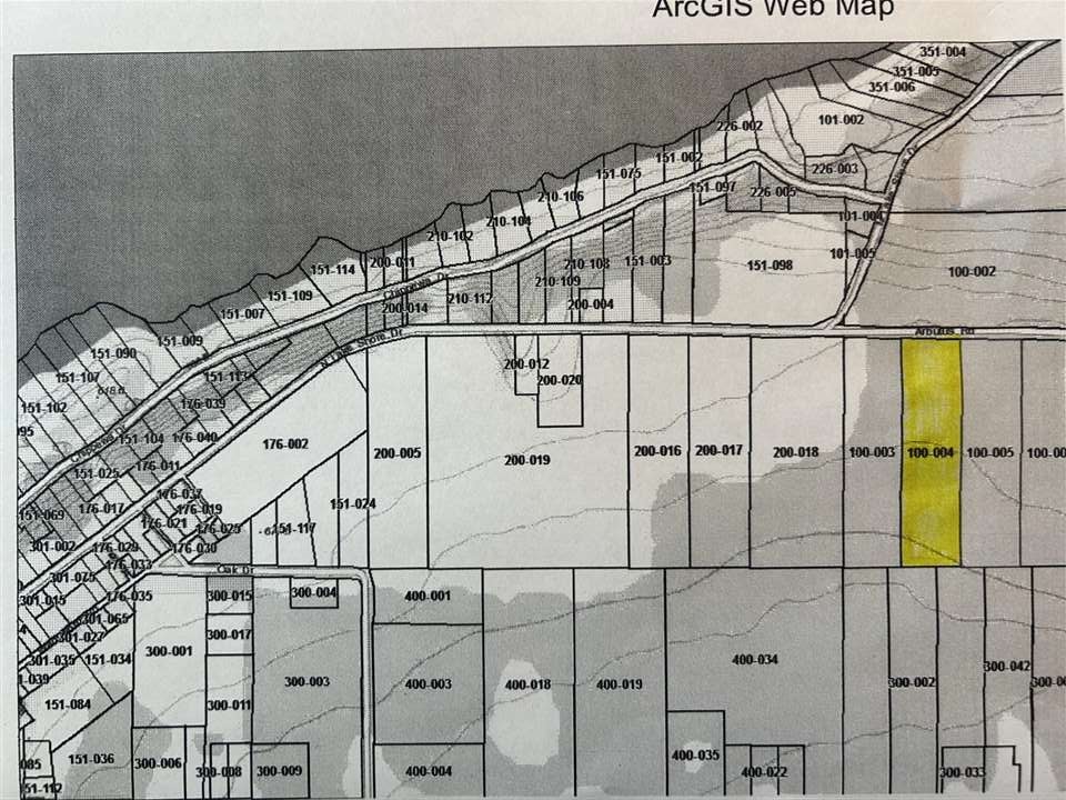 Tbd Arbutus Drive Cross Village MI 49723