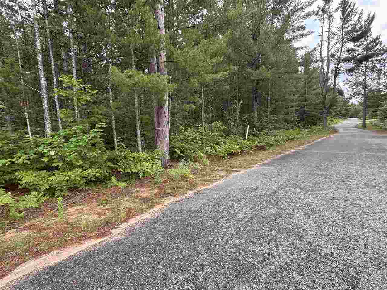 565 White Pine Drive Brutus MI 49716