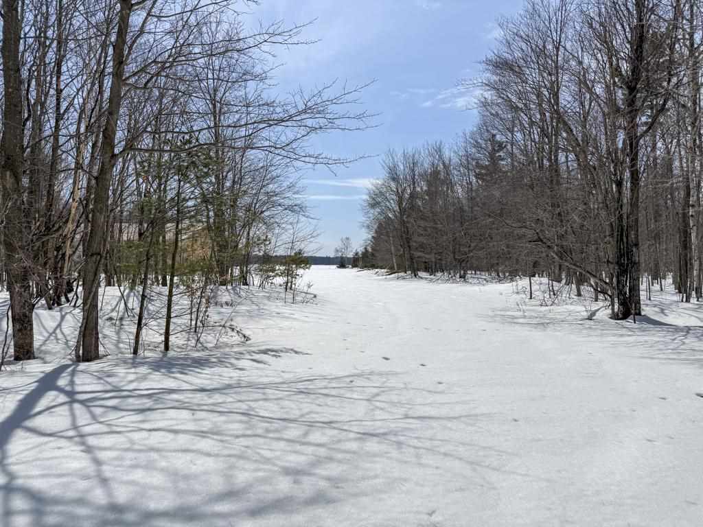 12+ Acres Donnel Mors Lane Beaver Island MI 49782