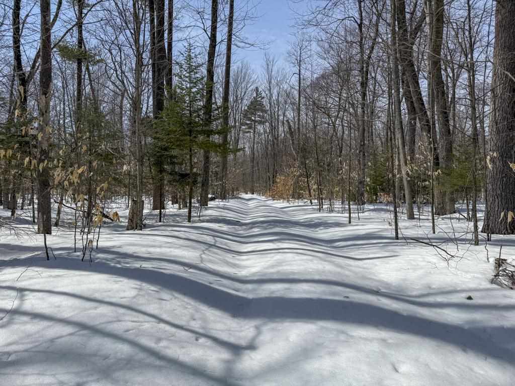 12+ Acres Donnel Mors Lane Beaver Island MI 49782