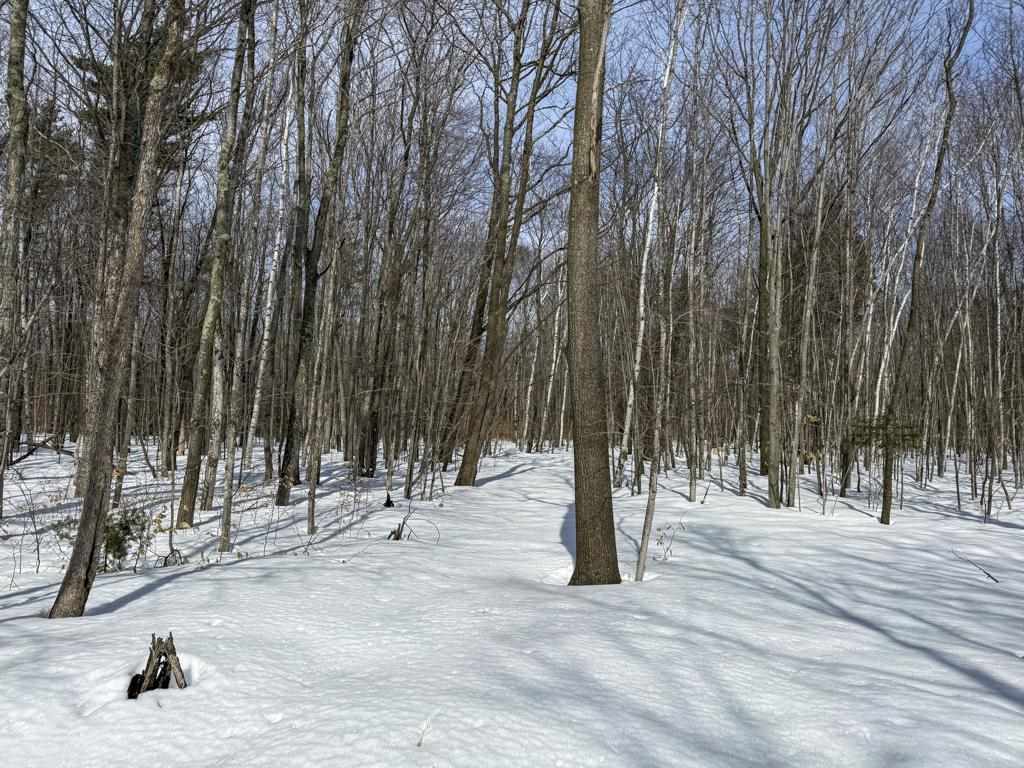 12+ Acres Donnel Mors Lane Beaver Island MI 49782