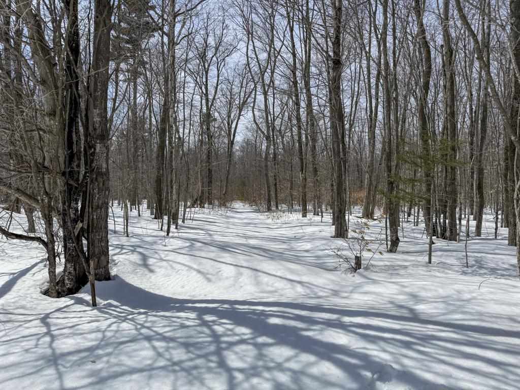 12+ Acres Donnel Mors Lane Beaver Island MI 49782
