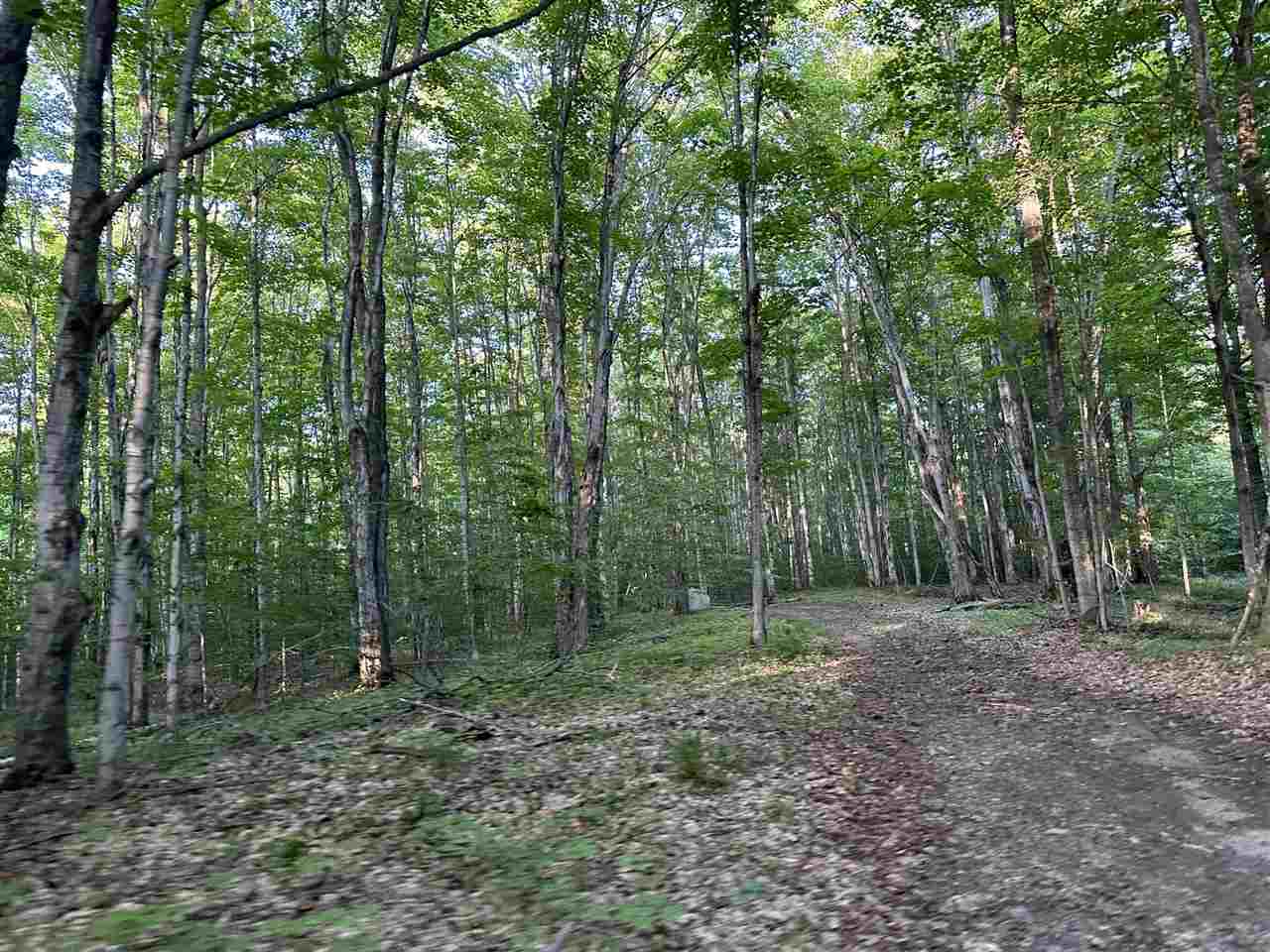 40 Acres - Middie Perron's Trail Beaver Island MI 49782