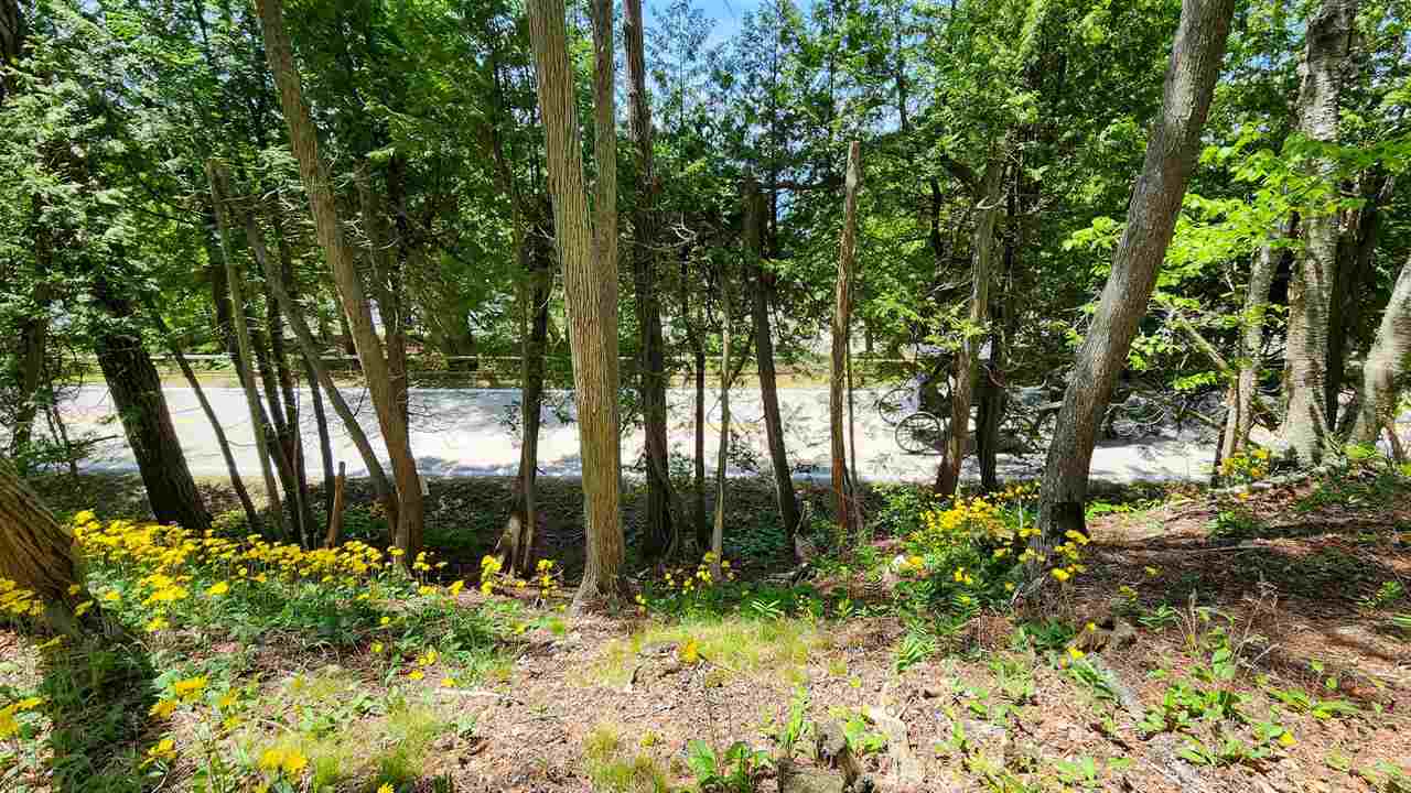 0 Cedar Point Lane Mackinac Island MI 49757