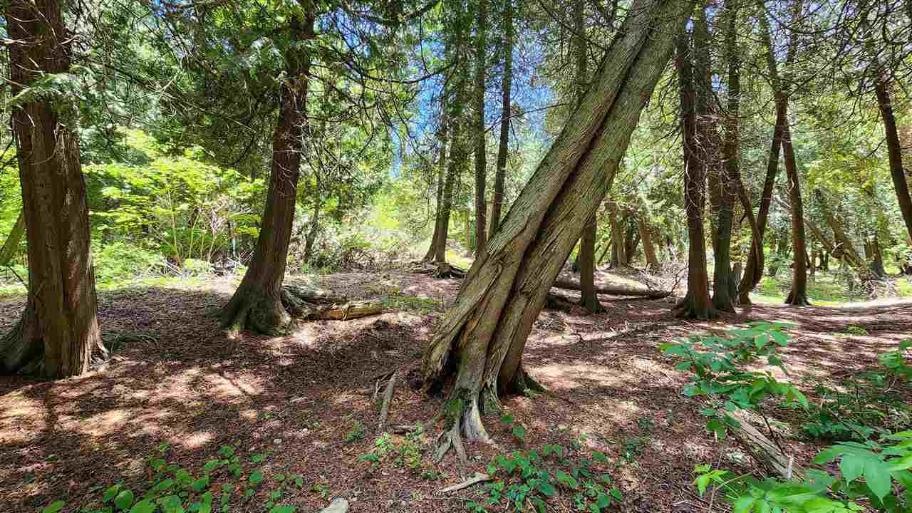 0 Cedar Point Lane Mackinac Island MI 49757