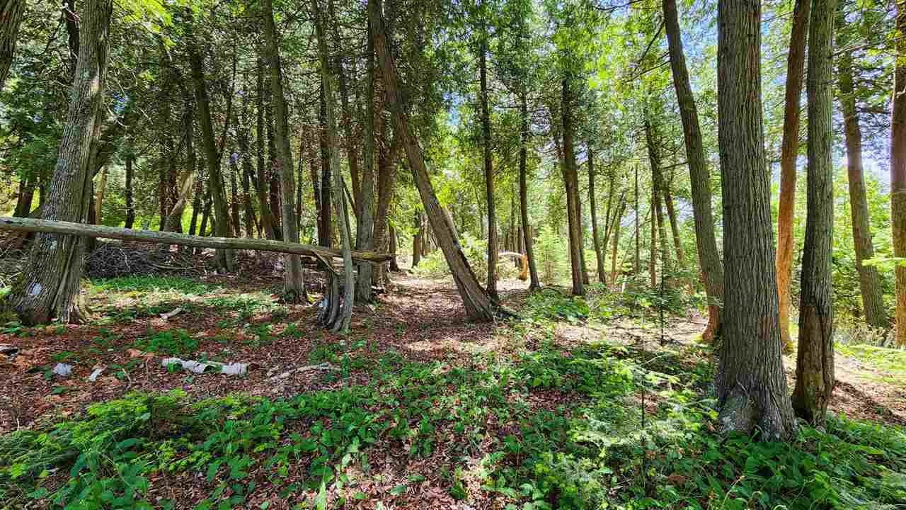 0 Cedar Point Lane Mackinac Island MI 49757