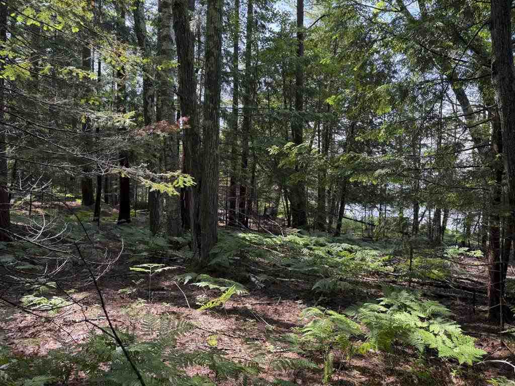Tbd Hemlock Point Road Beaver Island MI 49782