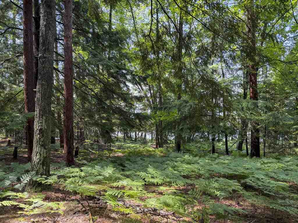 Tbd Hemlock Point Road Beaver Island MI 49782