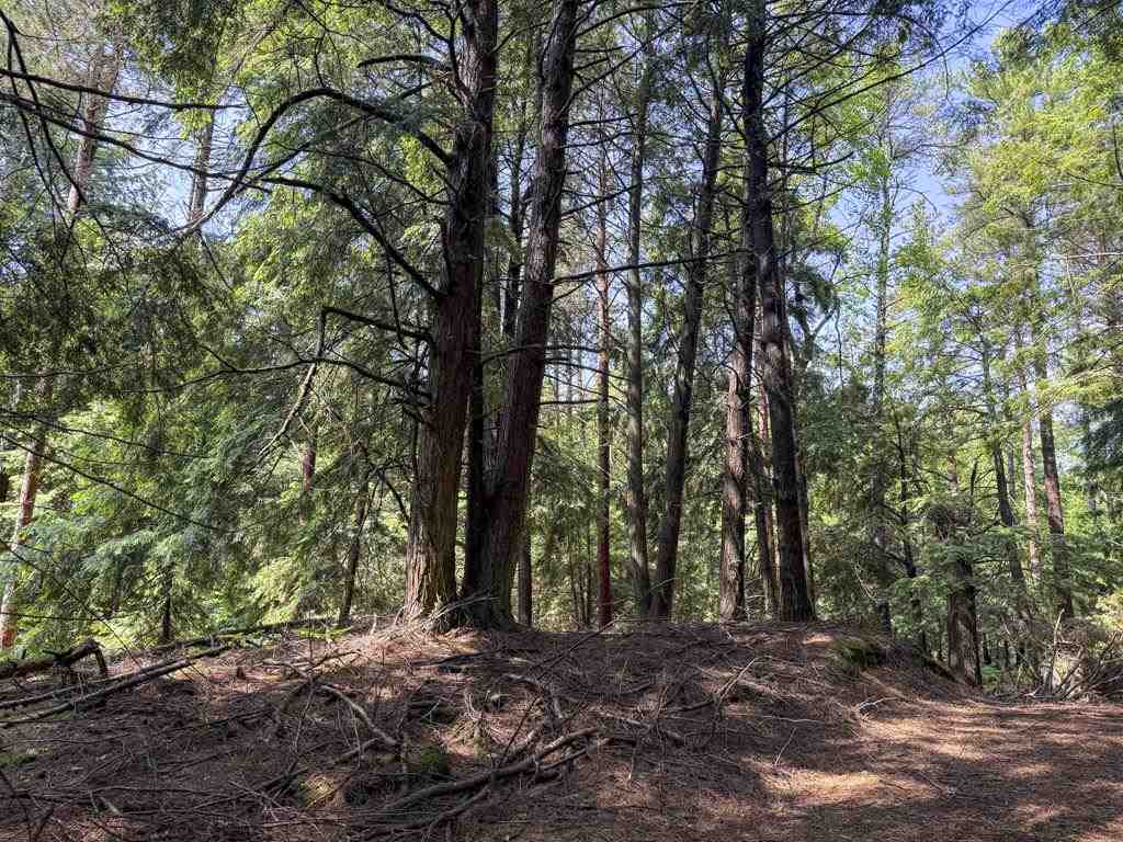 Tbd Hemlock Point Road Beaver Island MI 49782
