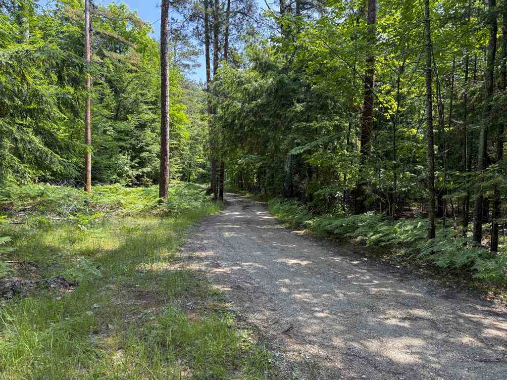 Tbd Hemlock Point Road Beaver Island MI 49782