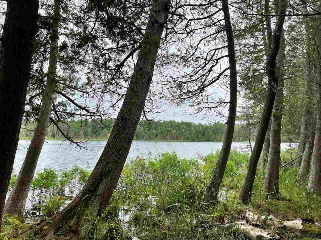 Tbd Hemlock Point Road Beaver Island MI 49782