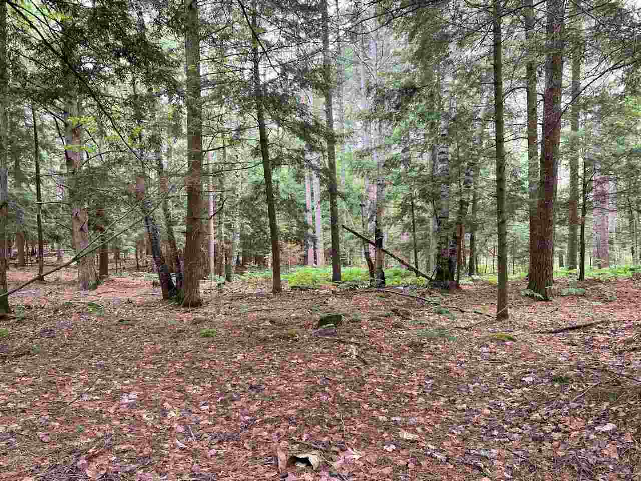 Tbd Hemlock Point Road Beaver Island MI 49782