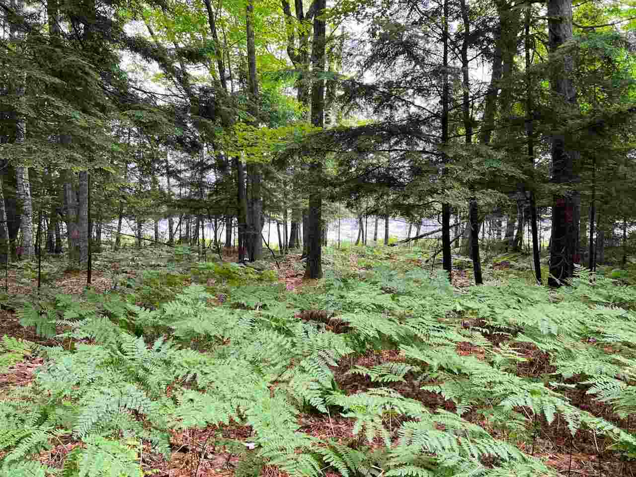 Tbd Hemlock Point Road Beaver Island MI 49782