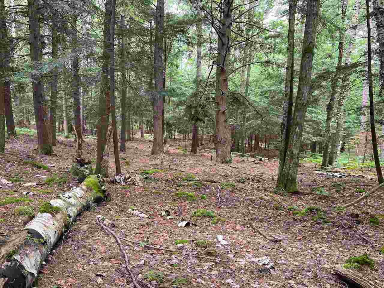 Tbd Hemlock Point Road Beaver Island MI 49782