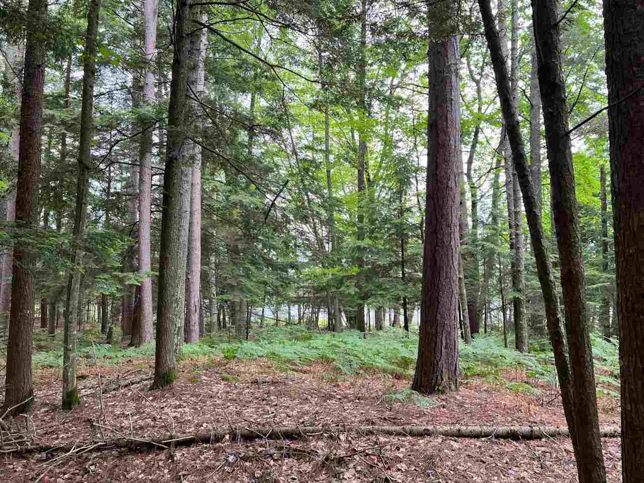 Tbd Hemlock Point Road Beaver Island MI 49782
