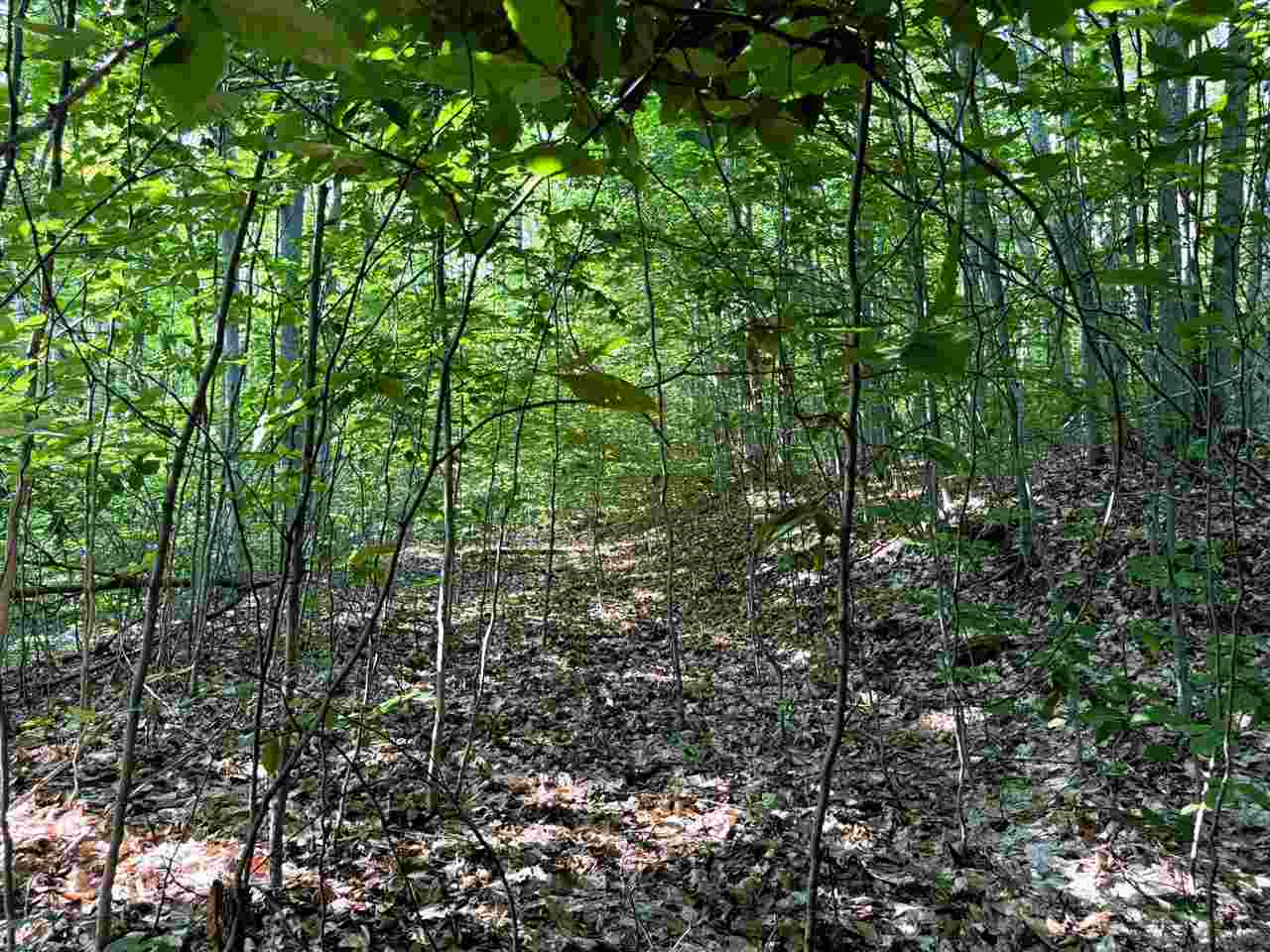 13218 NE Heller Court Kalkaska MI 49646