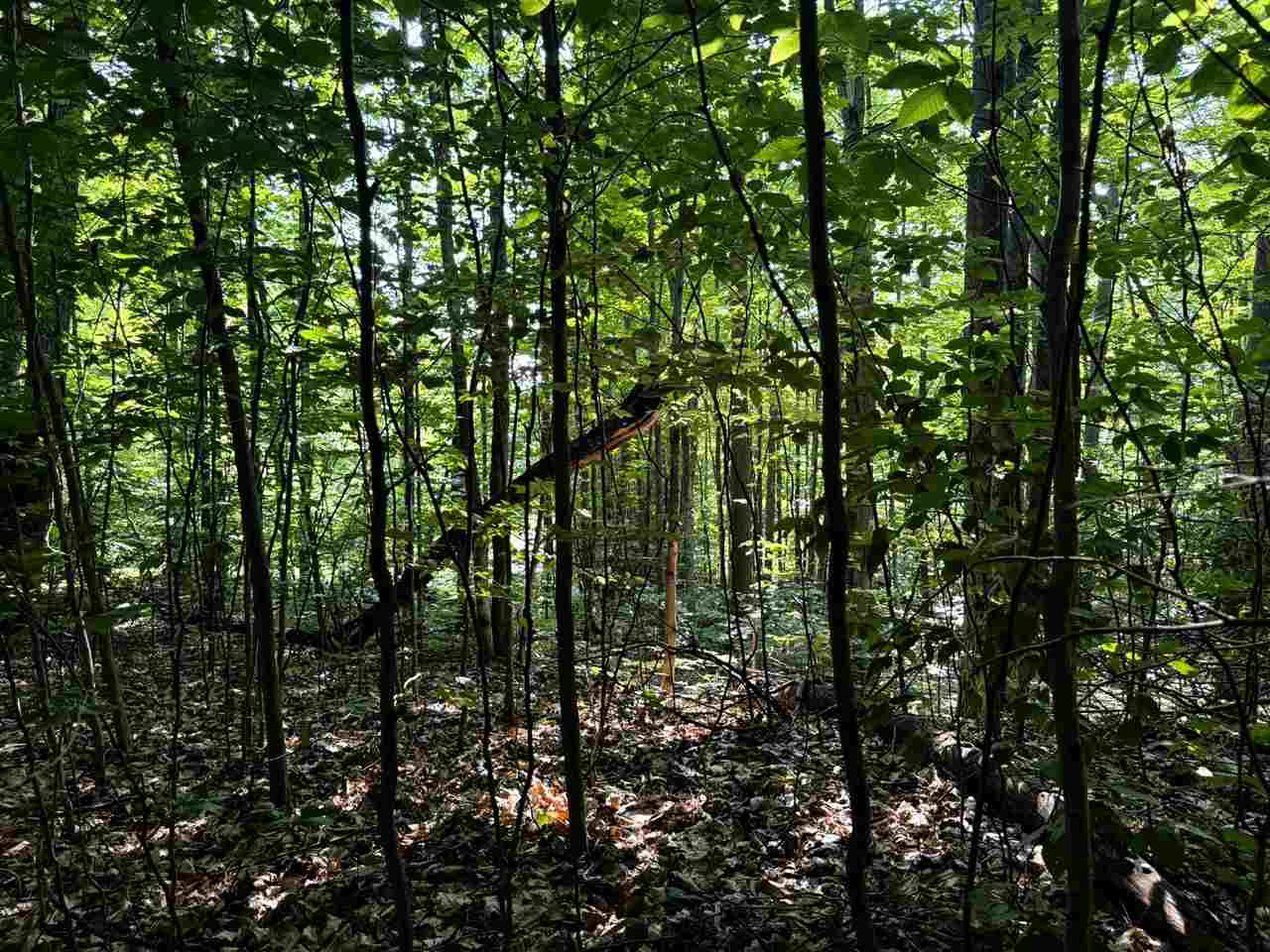 13218 NE Heller Court Kalkaska MI 49646