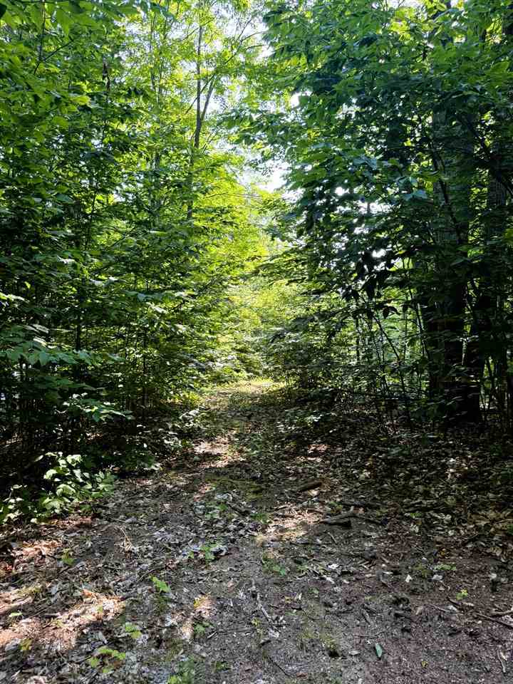 13218 NE Heller Court Kalkaska MI 49646