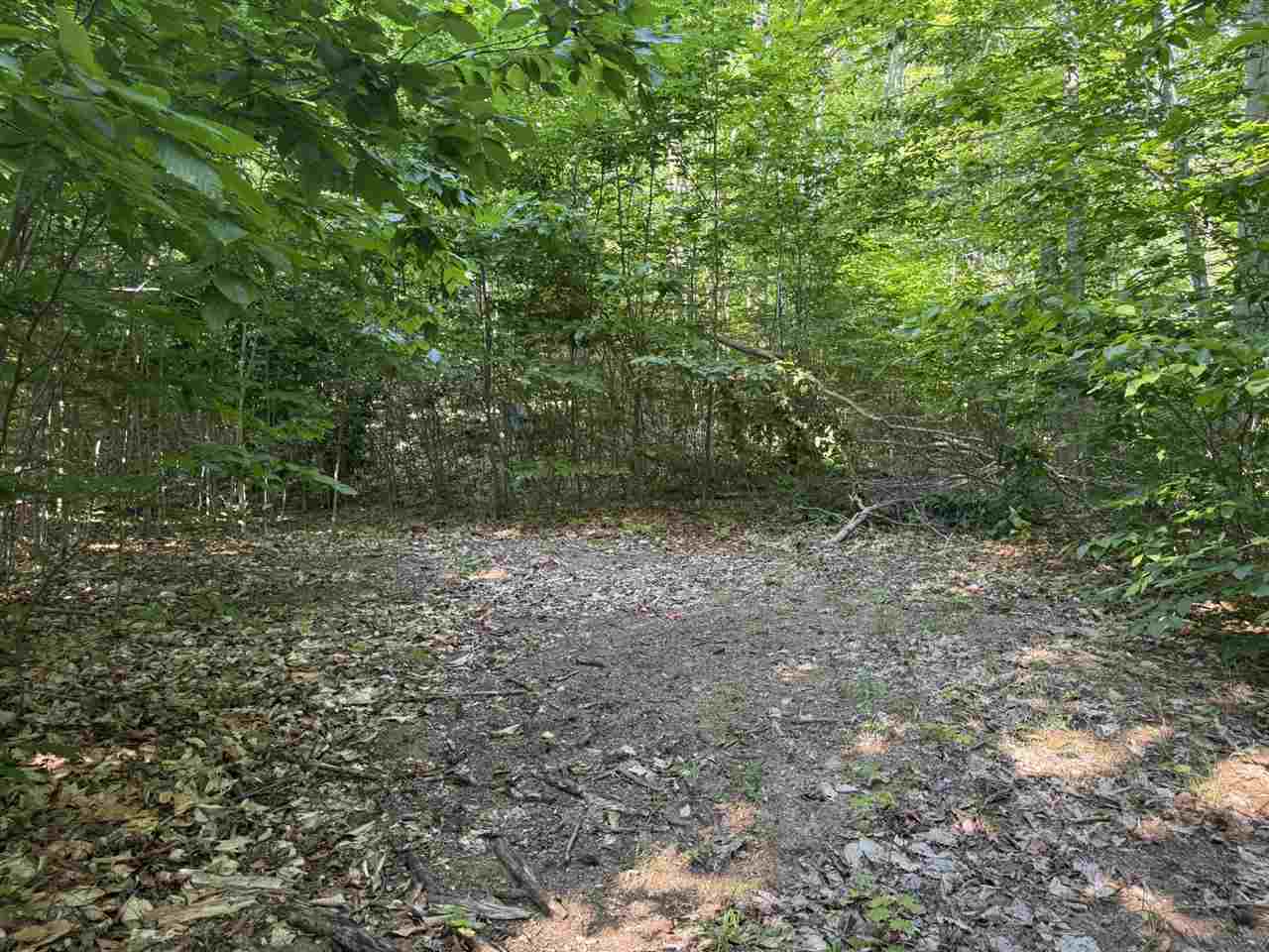 13218 NE Heller Court Kalkaska MI 49646