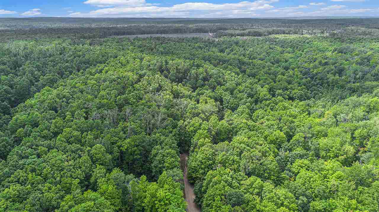 13218 NE Heller Court Kalkaska MI 49646