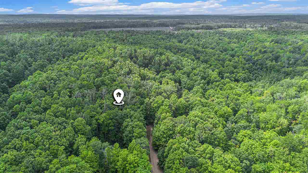 13218 NE Heller Court Kalkaska MI 49646