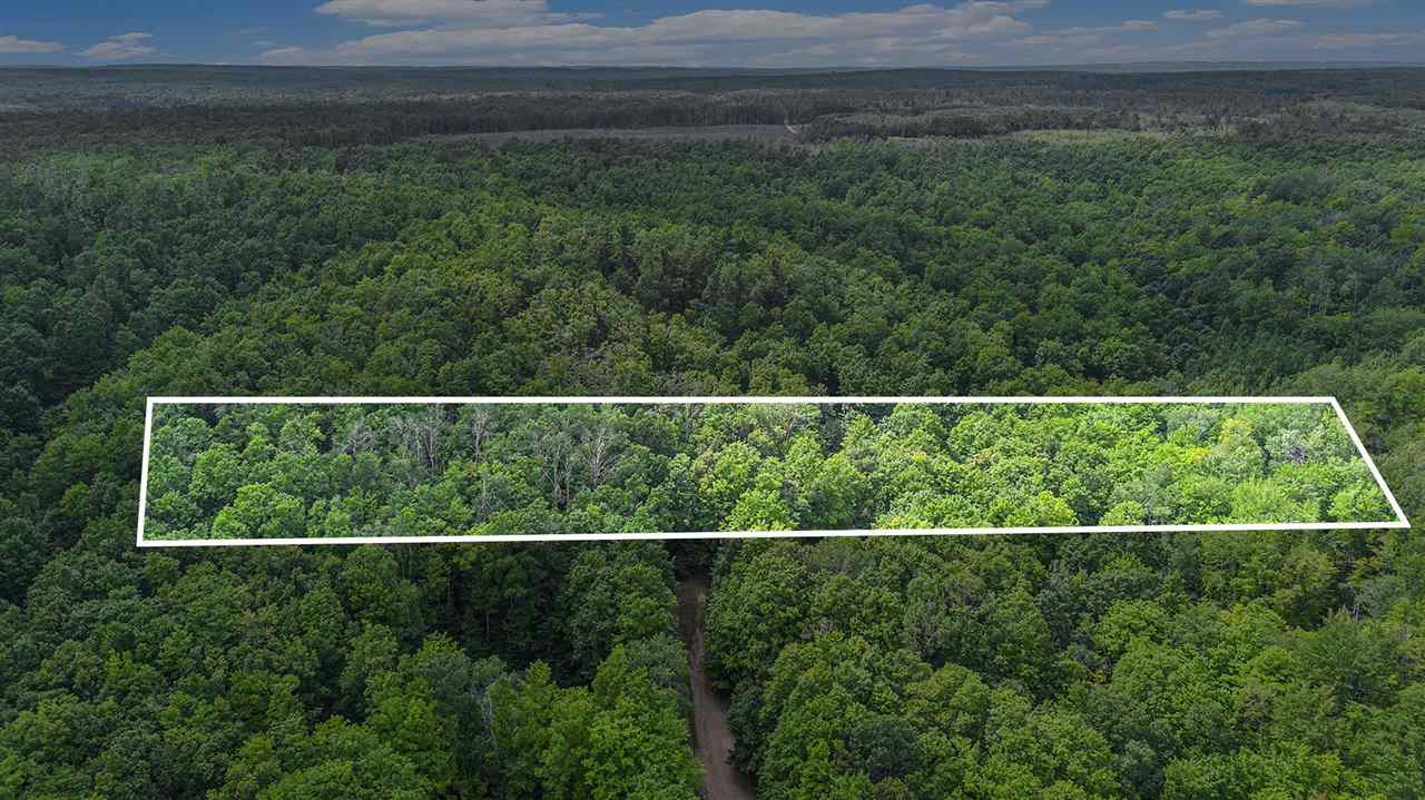 13218 NE Heller Court Kalkaska MI 49646