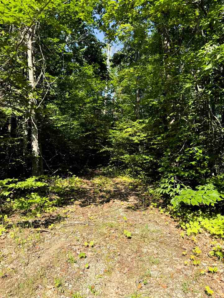 13218 NE Heller Court Kalkaska MI 49646