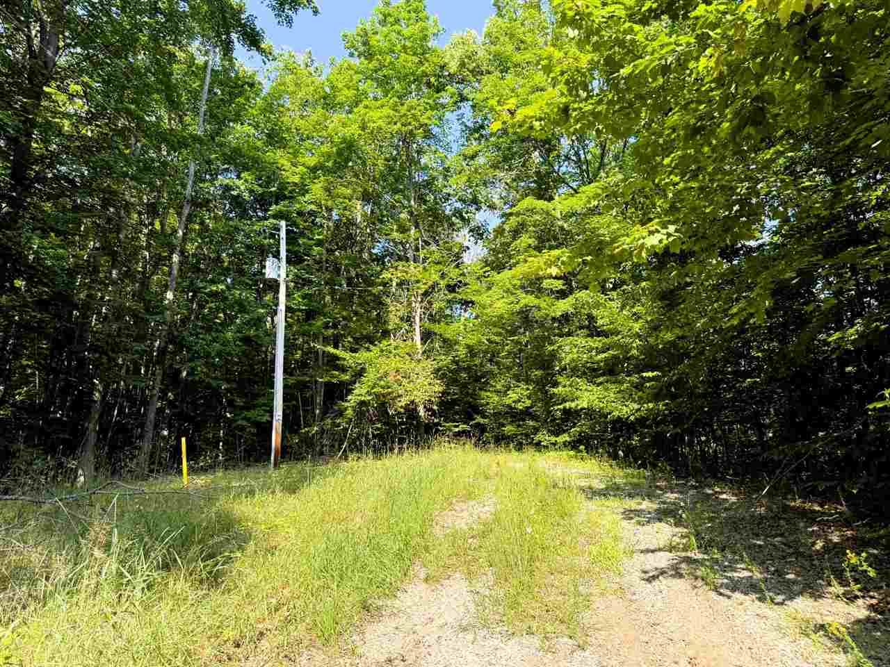 13218 NE Heller Court Kalkaska MI 49646