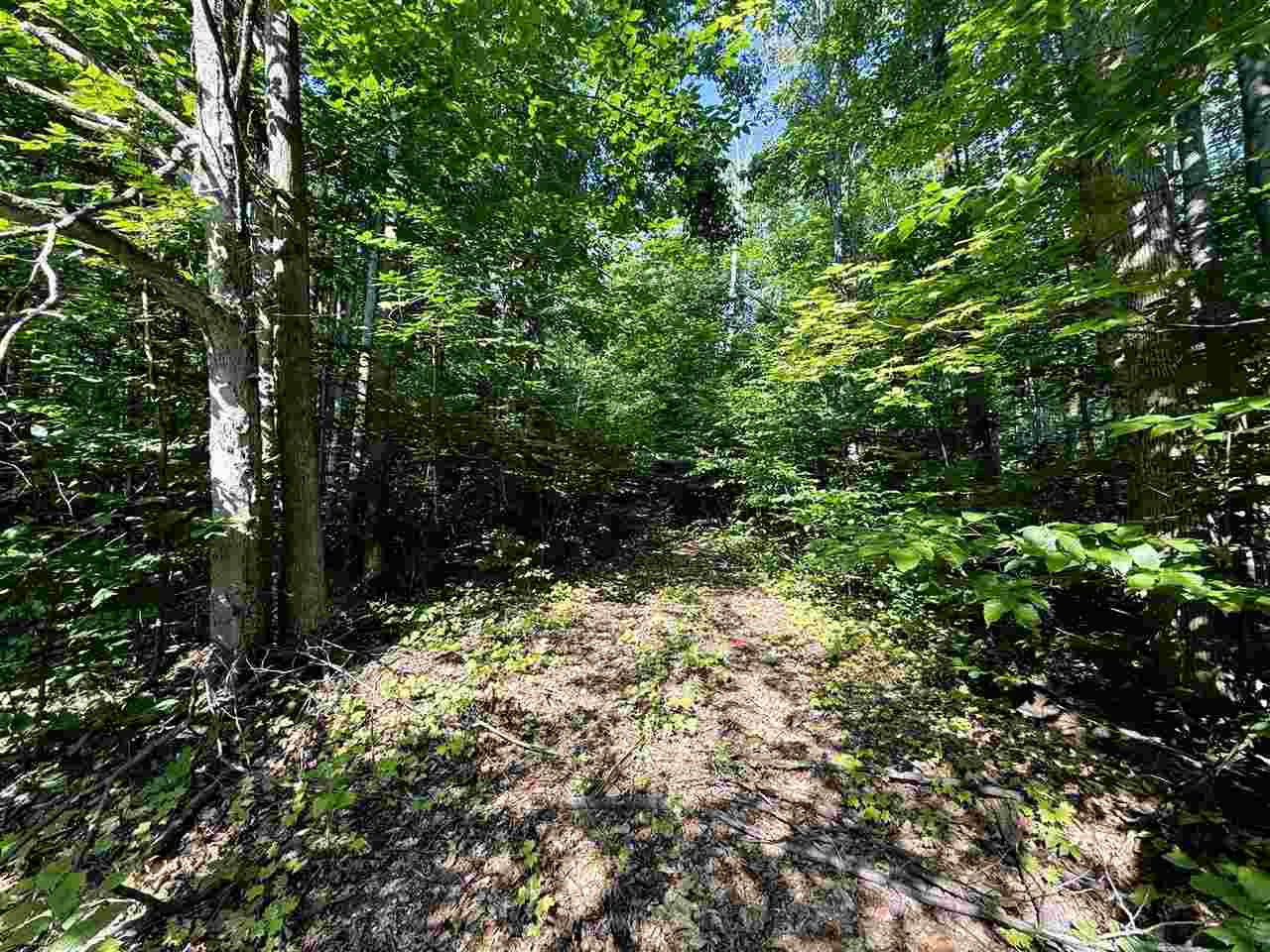 13218 NE Heller Court Kalkaska MI 49646