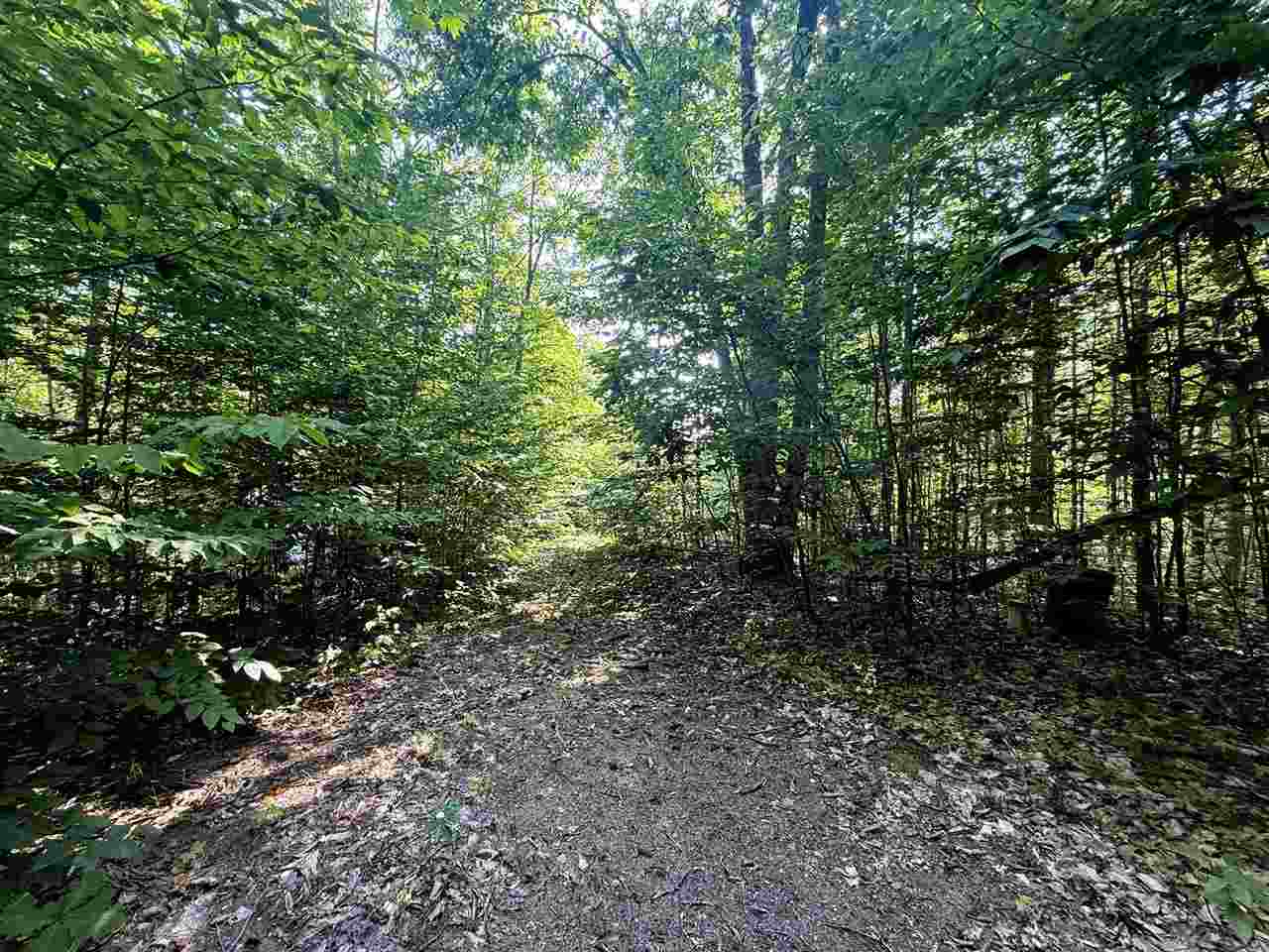 13218 NE Heller Court Kalkaska MI 49646