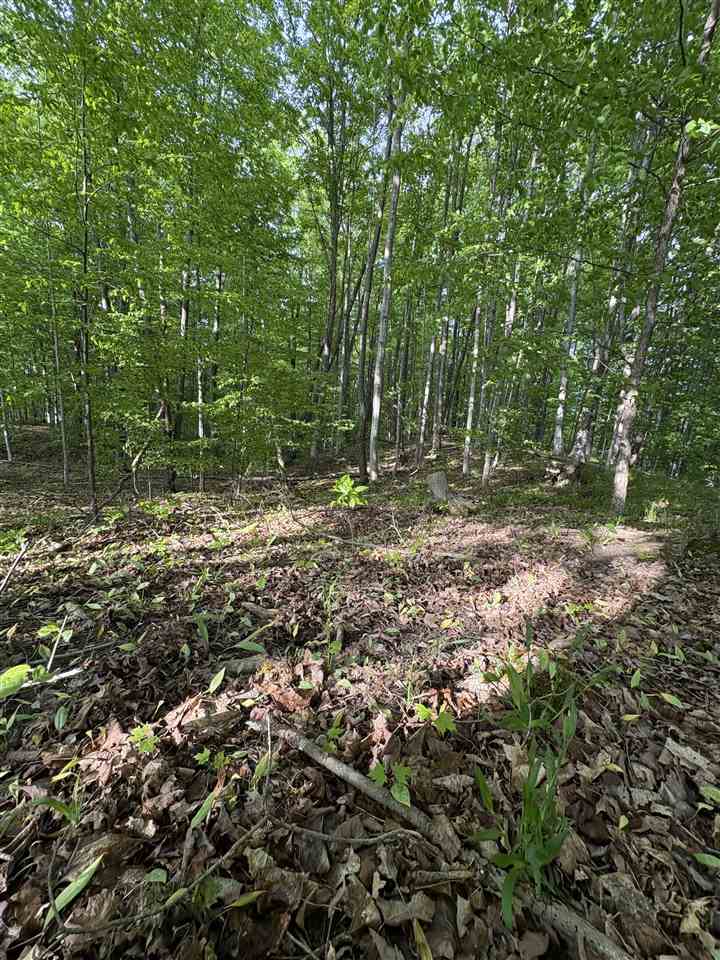 Tbd Erie Street East Jordan MI 49727