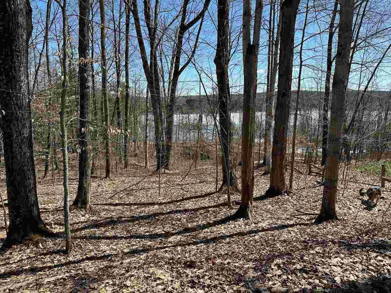 4944 Benway Lane Central Lake MI 49622