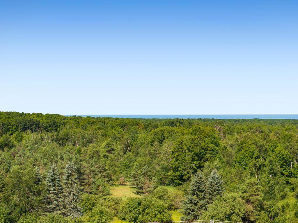 4722 N State Road Harbor Springs MI 49740