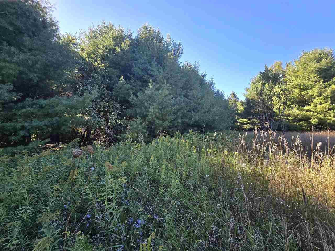 10534 Sunset Drive Carp Lake MI 49718
