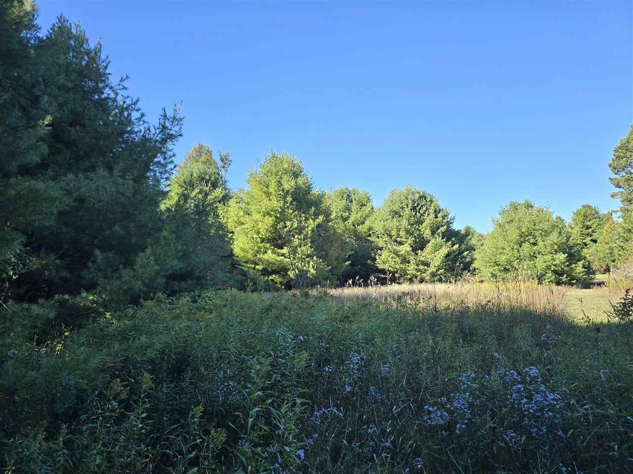 10534 Sunset Drive Carp Lake MI 49718