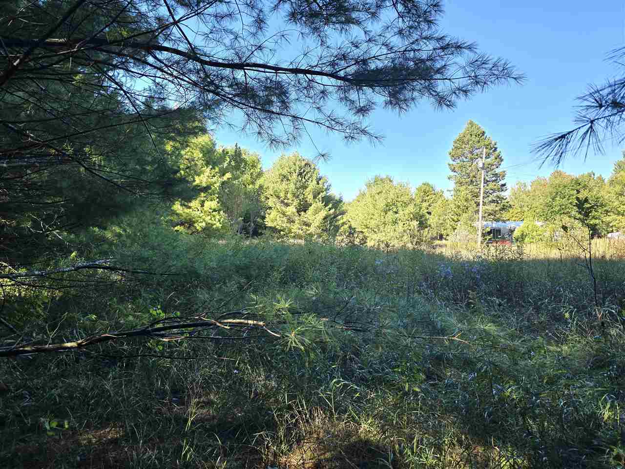 10534 Sunset Drive Carp Lake MI 49718