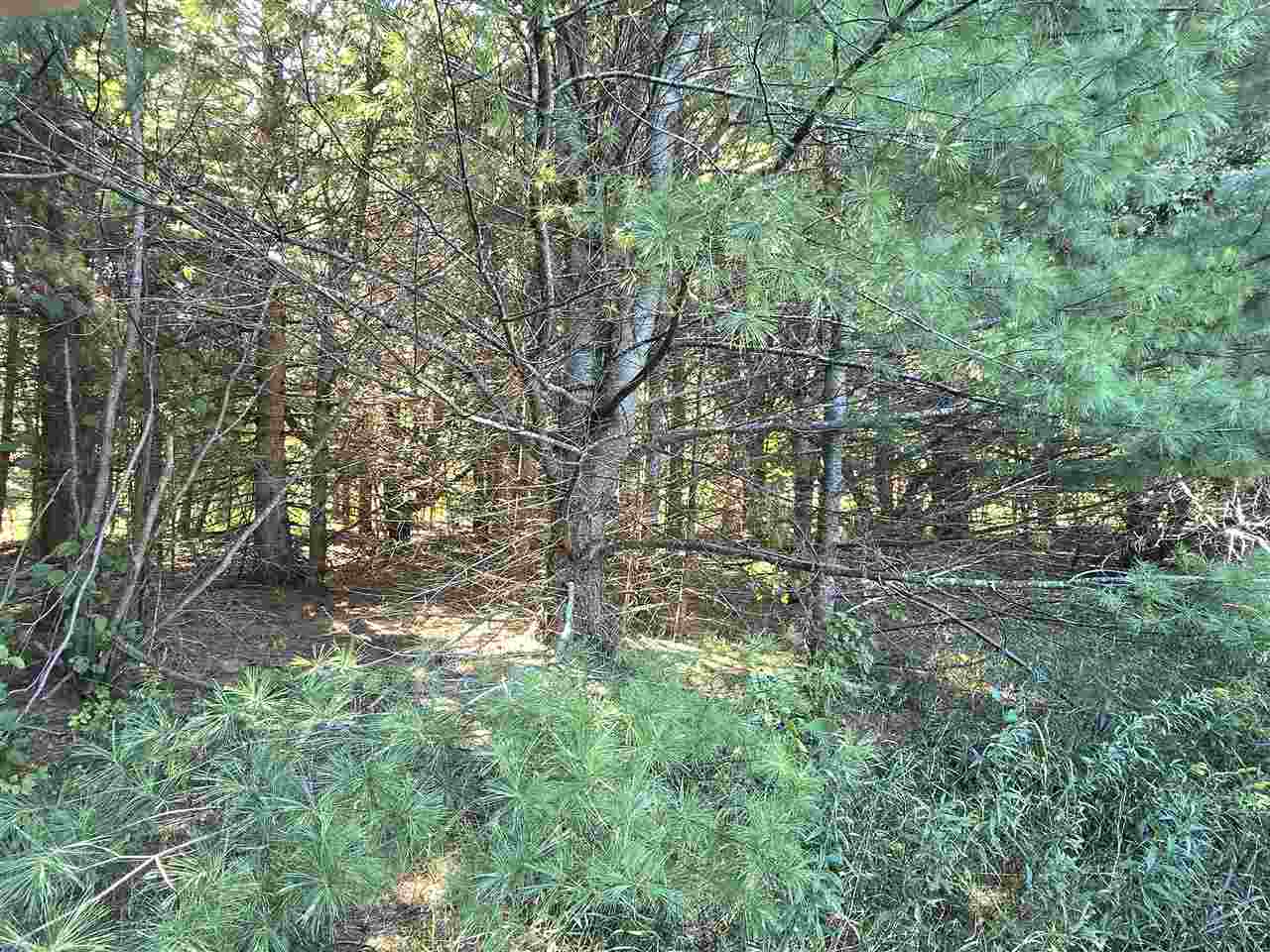 10534 Sunset Drive Carp Lake MI 49718