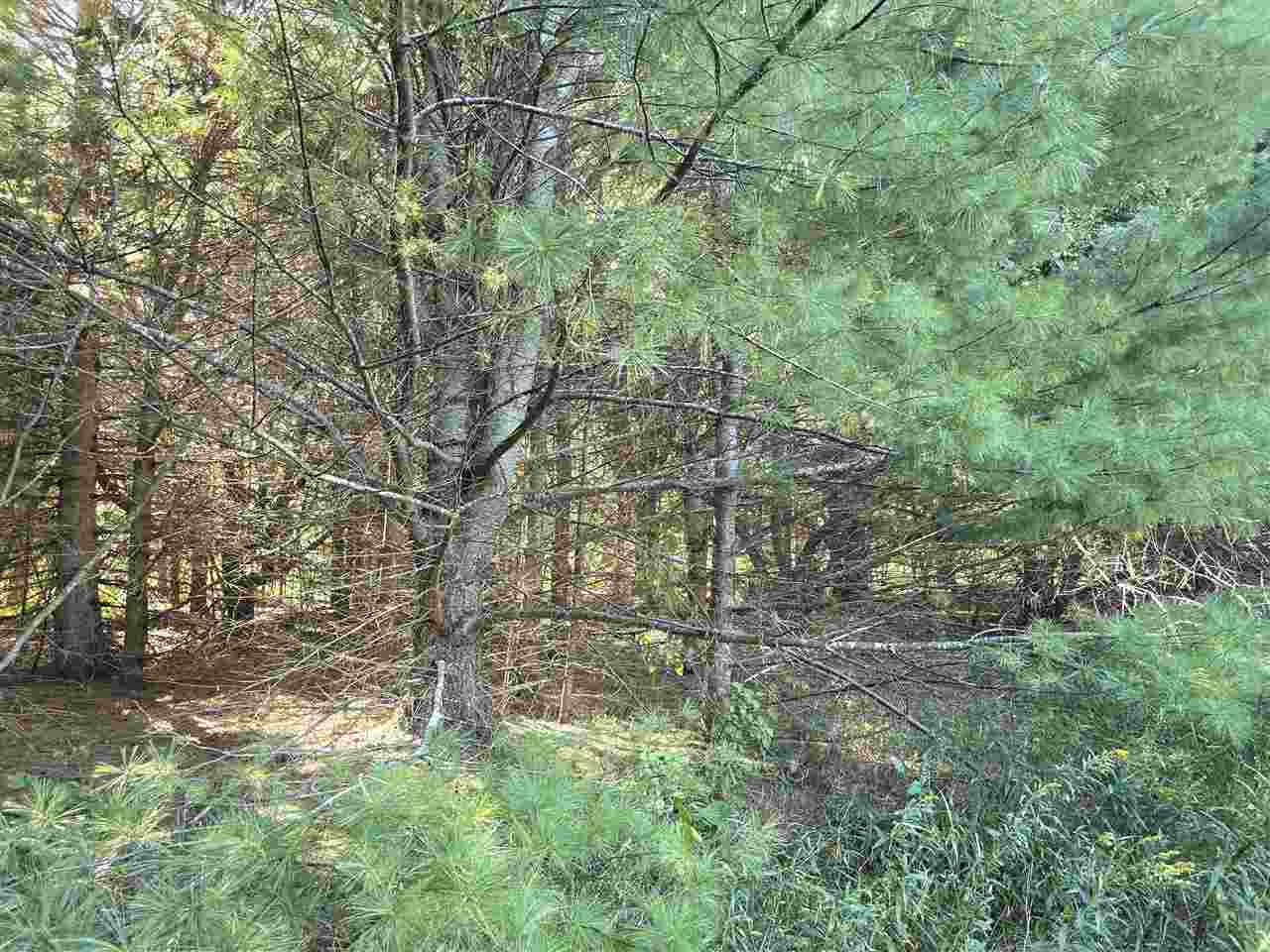 10534 Sunset Drive Carp Lake MI 49718