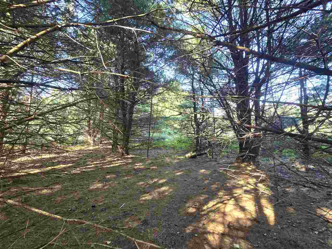 10534 Sunset Drive Carp Lake MI 49718