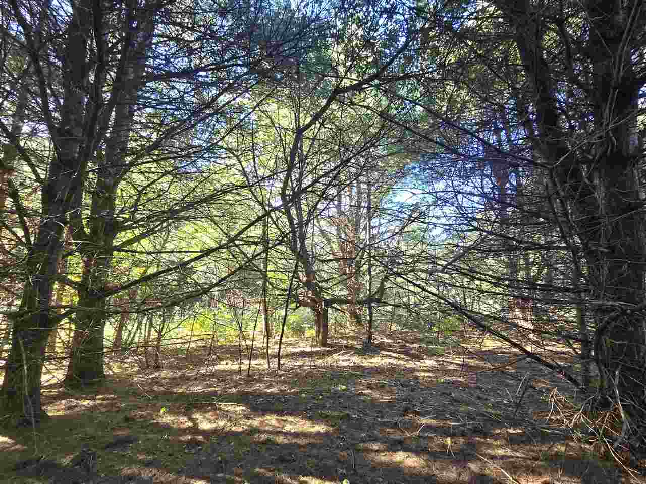 10534 Sunset Drive Carp Lake MI 49718