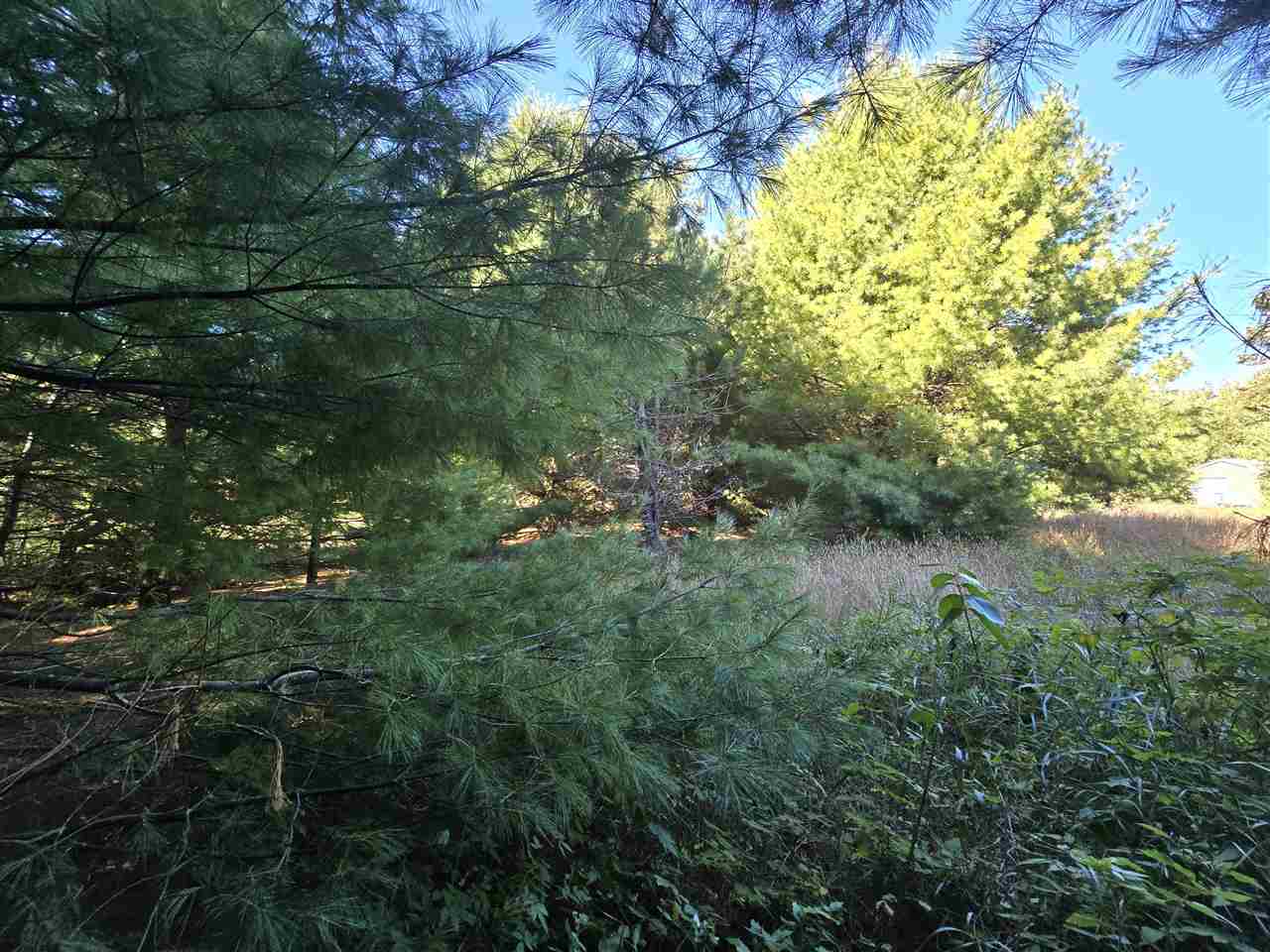 10534 Sunset Drive Carp Lake MI 49718