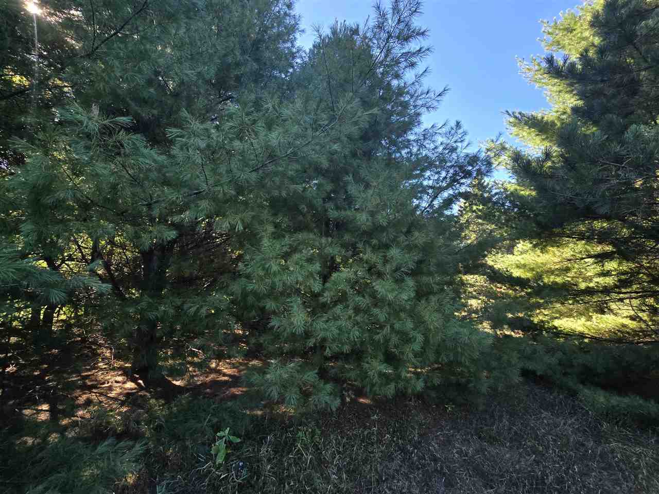 10534 Sunset Drive Carp Lake MI 49718