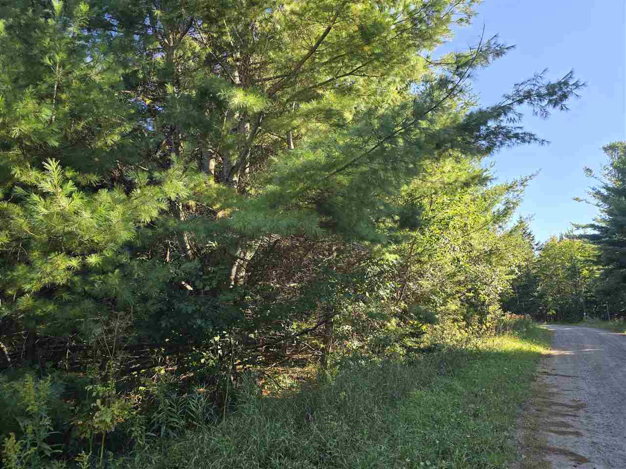 10534 Sunset Drive Carp Lake MI 49718