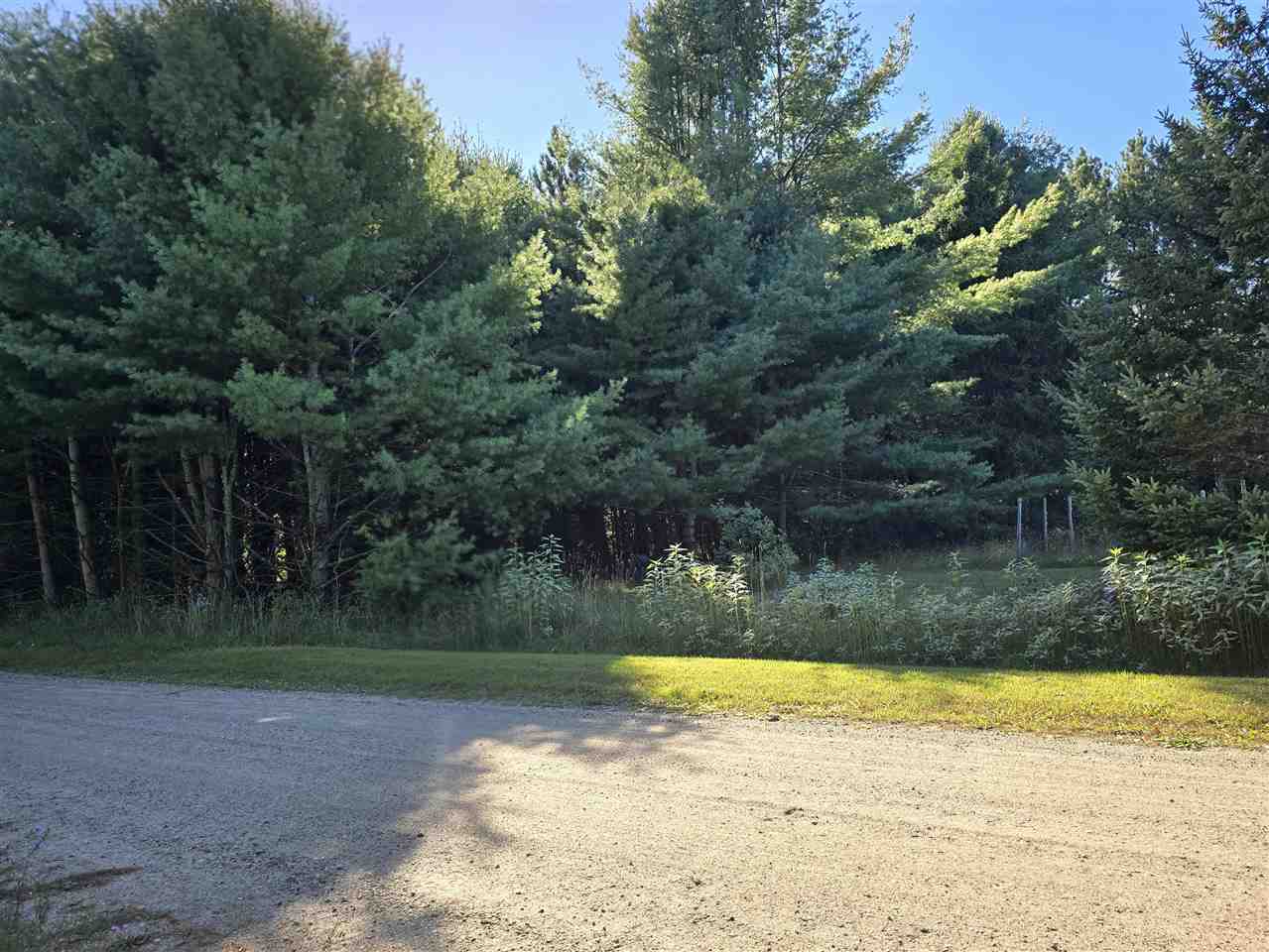 10534 Sunset Drive Carp Lake MI 49718