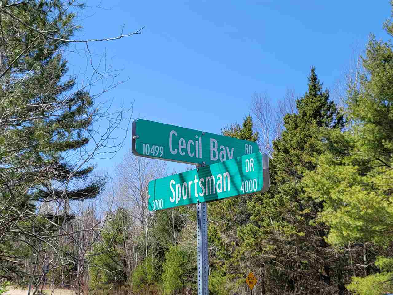 10534 Sunset Drive Carp Lake MI 49718