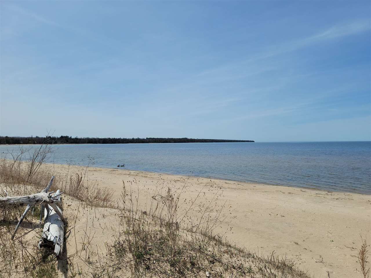 10534 Sunset Drive Carp Lake MI 49718