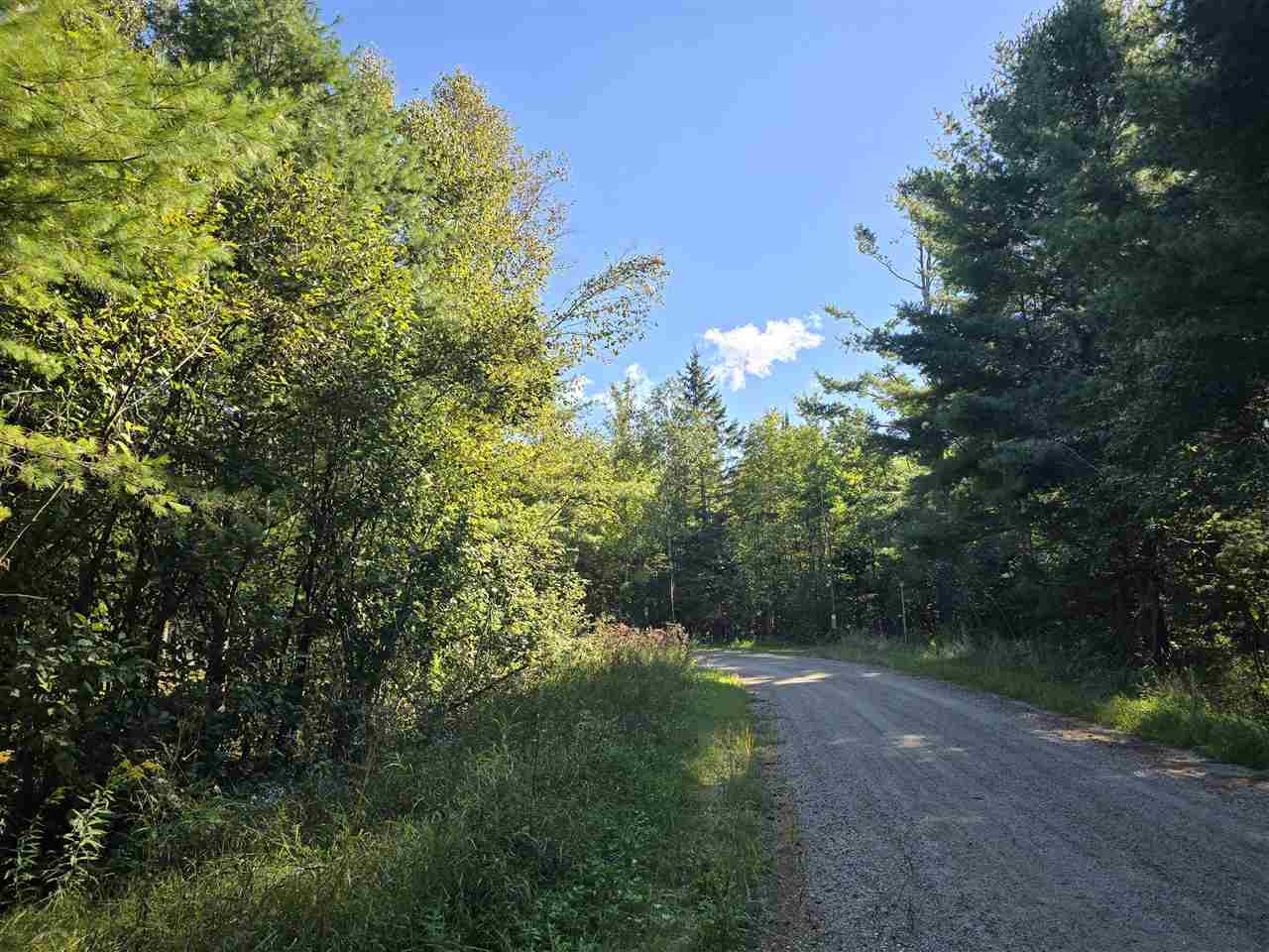 10534 Sunset Drive Carp Lake MI 49718