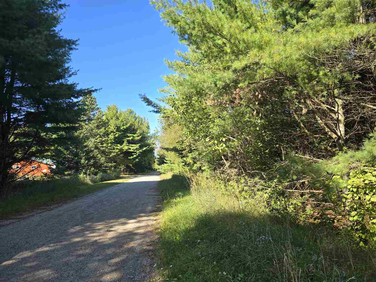 10534 Sunset Drive Carp Lake MI 49718